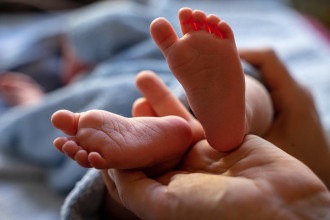 Bebês de 15 meses já são capazes de nomear objetos, diz estudo