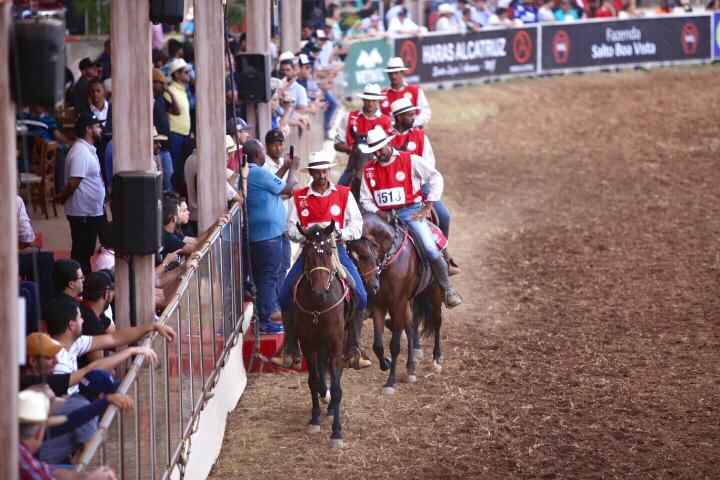 38ª Exposição marca ponto de encontro para criadores e fãs do cavalo marchador